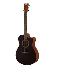 在飛比找Yahoo!奇摩拍賣優惠-【揚昇樂器】Yamaha FS400C 木吉他