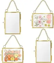 AwObEpl 4Pcs Glass Pressed Flower Frames Hanging & Wall Mounted Minimalist Double Glass Frames for Home Wall Décor