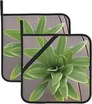Plant Potholders BBQ Pot Holders for Heat Resistant Potholder, Hot Pads,Cooking Baking(2-Pack)