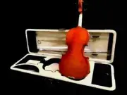 VIOLINS-BANKRUPTCY- NEW ADULT 4/4 FLAMED SOLID CONCERT VIOLIN/FIDDLE-GERMAN