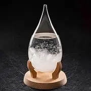 Fitzroy's Storm Glass Teardrop Shape