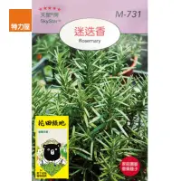 在飛比找momo購物網優惠-【特力屋】花田綠地種子-迷迭香