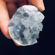 Natural Beautiful Celestite Crystal Cluster Sky Blue Specimen Mineral F1V6