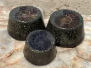 3 Pack Orgone Energy Ammonite Tower Busters EMF Protection Orgonite