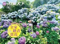 在飛比找樂天kobo電子書優惠-全家踏青賞花: 繽紛春、秋季上山健行去 - Ebook