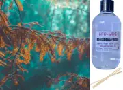 Blue Cypress & Jasmine - Reed Diffuser Refill