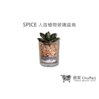 在飛比找蝦皮商城優惠-【SPICE】人造綠色植物-玻璃盆栽 多肉人造植物 免打理綠