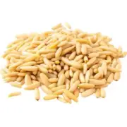 High Quality Pine Nuts/Ready to Cook/ Edible/500 gramsصنوبر عالي الجودة