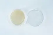 20 pcs Biodegradable Agar Cups | MEA or MEAG