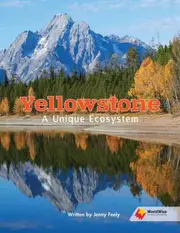 Yellowstone: A Unique Ecosystem