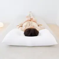 在飛比找博客來優惠-【日本王樣】極柔枕 (附天絲 TENCEL 枕套) | 鈴木