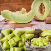 Rockmelon - Honeydew seeds