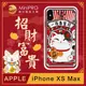 【MiniPRO 】招財富貴浮雕設計輕薄防護手機殼(Apple iPhone-XS Max 6.5吋)