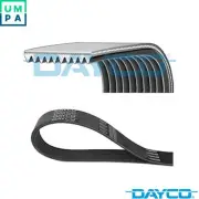 VRIBBED BELT 10PK1850HD FOR MERCEDES-BENZ ZETROS OM926.935/947 7.2L 6cyl ZETROS