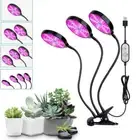 Red/ Blue Spectrum Phytolamps USB LED Plants Grow Light 15W 30W 45W 60W Indoor
