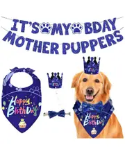 Fresh Fab Finds Dog Birthday Bandana & Hat Set