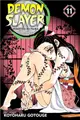 Demon Slayer - Kimetsu No Yaiba 11