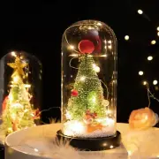 Desktop Christmas Tree With Lights Glass Cover LED Ornaments Xmas New Year Gift