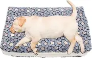 Dog Blanket | Cozy Cat Blanket Throw with Cute Paw Print Plush Soft Cat Soothing Blanket for Indoor Cats, Puppies, Pets