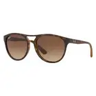 Rayban Brad Havana Brown Aviator + Gradient Dark Brown Sunglasses