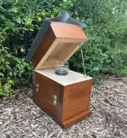 Honey Jar Stained Hoop Pine Native Beehive OATH Box Stingless Australian Bee