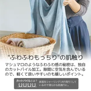 現貨 日本Carari Earth系列 超細纖維吸水柔軟毛巾 浴巾 超強4倍瞬間吸水 不掉毛 不過敏