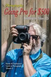 Tomlinson - Going Pro for 500 Revisiting the Nikon D2x - New paperba - L555z