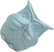 NOLITOY Cute Owl Ceramic Pot Odor Blue Versatile Succulent Planter for Home Office Present
