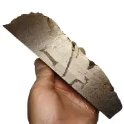 620g Muonionalusta meteorite part slice QC578