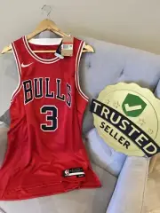 Size Large Chicago Bulls Dwayne Wade Nba Swingman Jersey