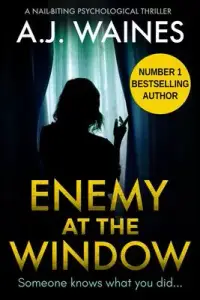 在飛比找博客來優惠-Enemy At The Window: a nail-bi