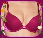 38DD Berry Pink LACE VELVET Wings Extreme Lift Victorias Secret Plunge PU UW Bra