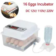 Eggs Incubator Dual Electric Egg Turning Fully Automatic for Chicken Duck Bird