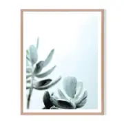 Cool Nature Framed Printed Wall Art - Timber