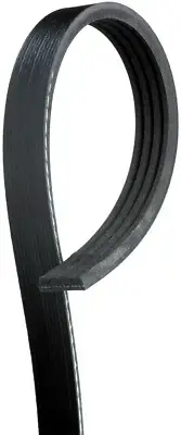 For 1995-1998 Nissan 200SX 1.6L Serpentine Belt Gates 159QC15 1996 1997 1998 (for: Nissan)