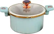 Micro Pressure Cooker 5L Enamel Lining Pressure Cooker Non-Stick Push Pull Lock Pressure Pot with Lid Silicone Seal Spill-Proof Valve Pressure Pot for Cooking Kitchen Items,Green