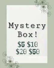Metaphysical Mystery Box