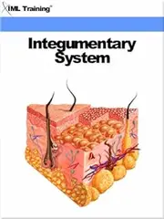 Integumentary System (Human Body Book 8)
