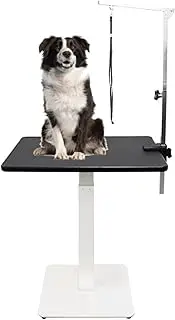 HJYryhyfddply 27.5" Hydraulic Lift Dog Grooming Table, Desktop Grooming Table for Dogs at Home, Maximum Capacity Up to 100lbs