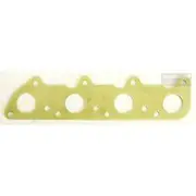 Platinum Extractor Gasket - HSM110