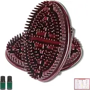 Beauty Salon Professional Custom Meridian Brush, Meridian Massage Brush, Meridian Brush Massage Body Brushs, Portable Handheld Massage Brush Set for Body (2PCS)