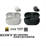 【SONY】索尼 WF-1000XM5 真無線降噪藍牙耳機 降噪藍牙耳機 無線耳機