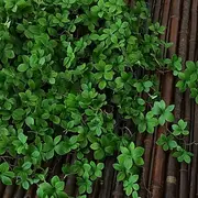 Artificial Hanging Plant 90CM (35.4 Inches) Fake Greenery Vines, Plastic Leaf Garland for Home Decor, Faux Trailing Plant for Pipe Cover, Living Room Decoratio