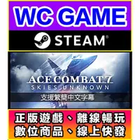 在飛比找蝦皮購物優惠-【WC電玩】PC 空戰奇兵 7 未知天際 中文 全DLC 捍