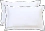 RANZNAZ Set of 2 Elegant Embroidery Pillowcases, King Size, 100% Cotton - White Good Feeling Shams, Elegant Trims, Softer and Breathable Pillow Covers, 20x36 inches