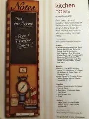 Paintworks Magazine Excerpt: Kitchen Notes by Karen Strubel