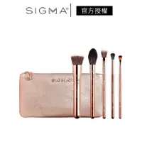 在飛比找蝦皮商城優惠-Sigma 流光溢彩刷具五件組 公司貨 Iconic 隨身刷