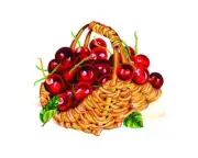 "Cherry" Printed Needlepoint Tapestry Canvas A12