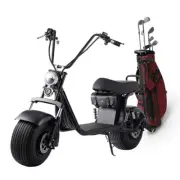 Electric Scooter with Golf Rack 2000W 60KM/H 50KM 18" Off-Road Tyres E-Scooter