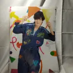 HEYSAYJUMP 中島裕翔 JUMPING CARNIVAL 資料夾   二手 現貨 周邊 【T28484】